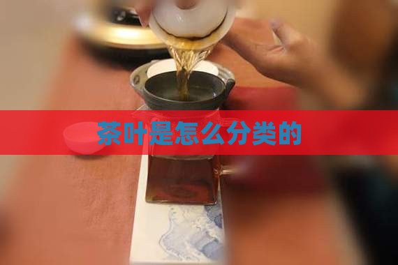 茶叶是怎么分类的