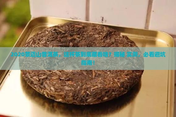 景迈山普洱茶2020
