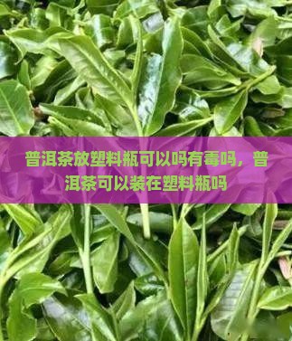 普洱茶放塑料瓶可以吗