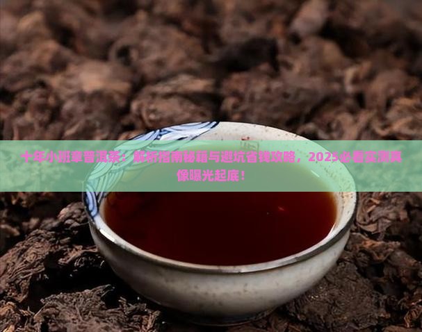 十年小班章普洱茶