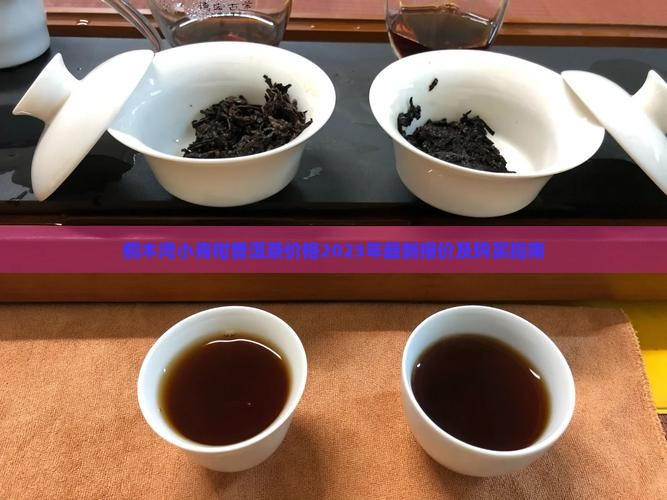 桐木湾小青柑普洱茶价格