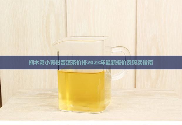 桐木湾小青柑普洱茶价格