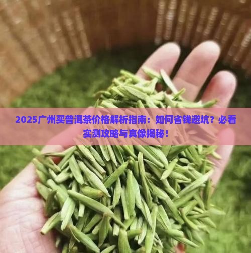 广州买普洱茶价格