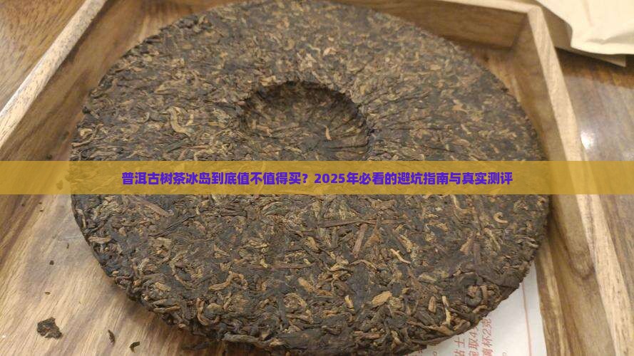 普洱古树茶冰岛