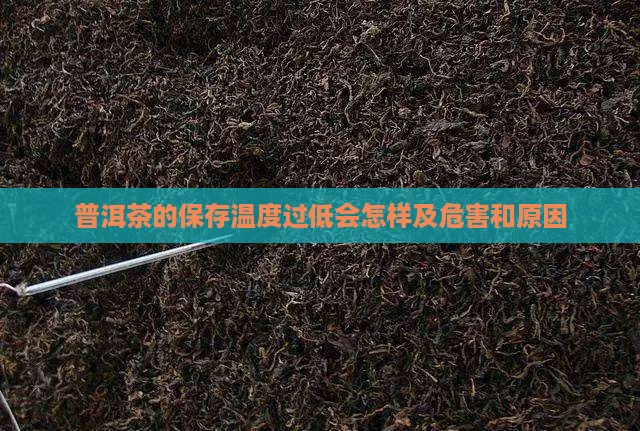 普洱茶的保存温度过低