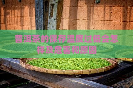 普洱茶的保存温度过低