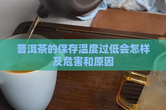 普洱茶的保存温度过低