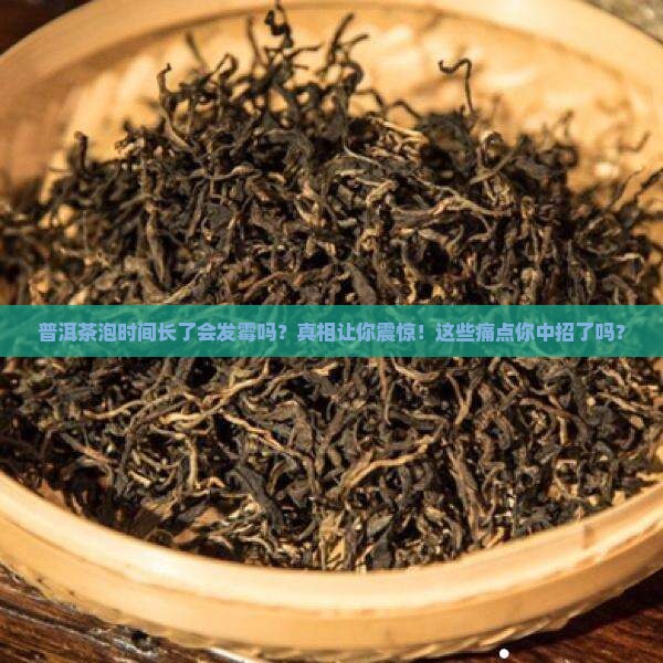 普洱茶泡时间长了会发霉吗 普洱茶泡时间长了会发霉吗