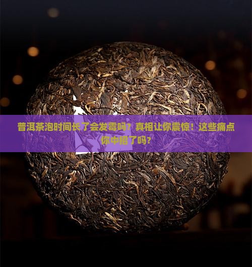 普洱茶泡时间长了会发霉吗 普洱茶泡时间长了会发霉吗