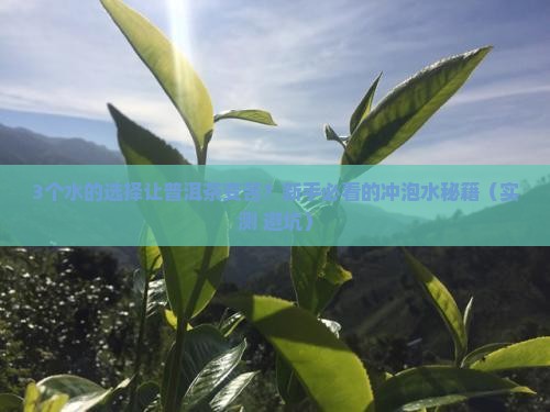 冲泡普洱茶用什么水