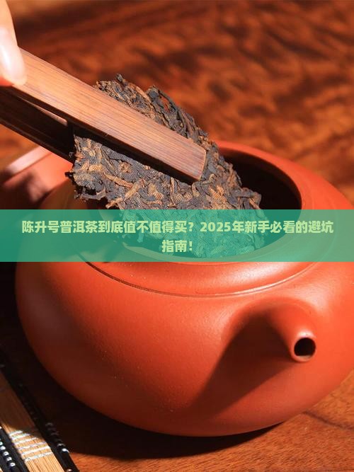 陈升号普洱茶介绍