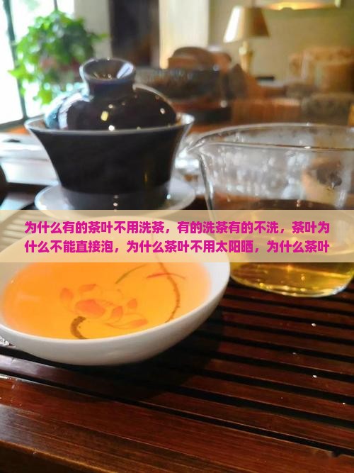 为什么有的茶叶不用洗茶