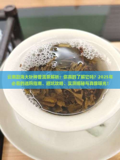 云南勐海大叶种普洱茶