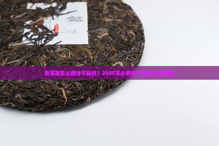 普洱茶个性化对比