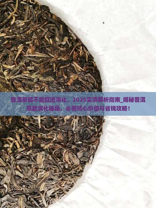 普洱茶能不能促进消化