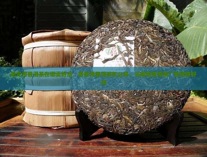 黑龙潭普洱茶在哪卖好点 黑龙潭普洱茶在哪卖好点