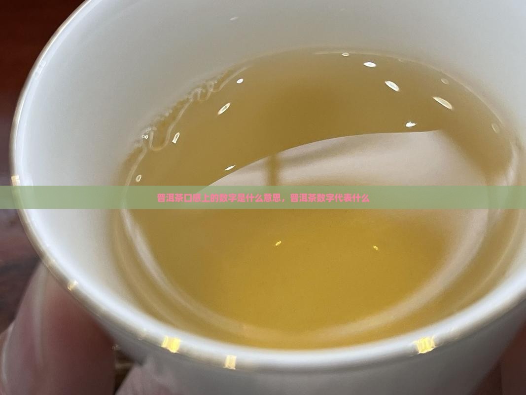 普洱茶口感上的数字