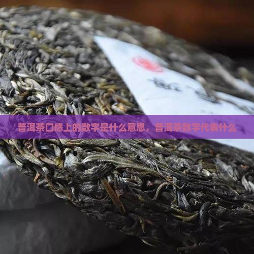 普洱茶口感上的数字