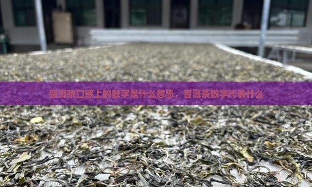 普洱茶口感上的数字