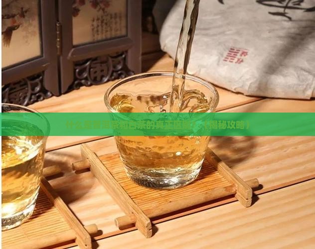 什么是普洱茶白茶区别