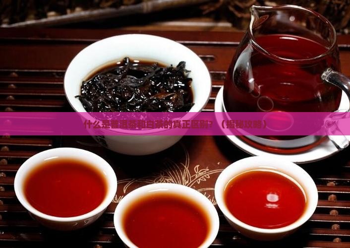 什么是普洱茶白茶区别