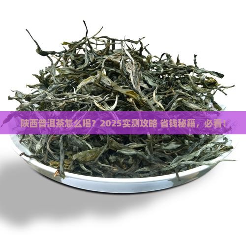 陕西普洱茶怎么喝