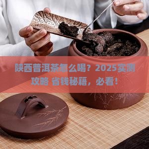 陕西普洱茶怎么喝