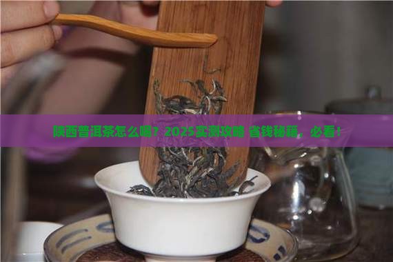 陕西普洱茶怎么喝