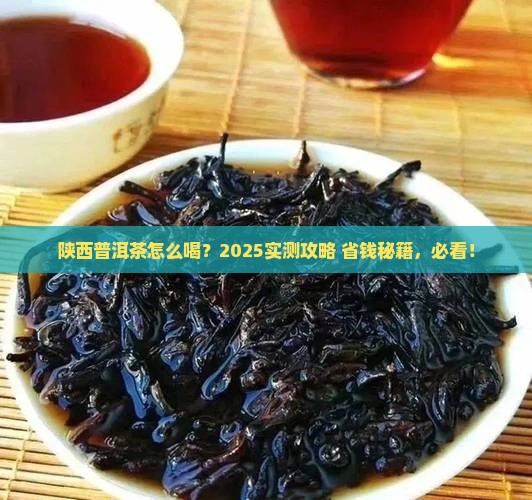 陕西普洱茶怎么喝