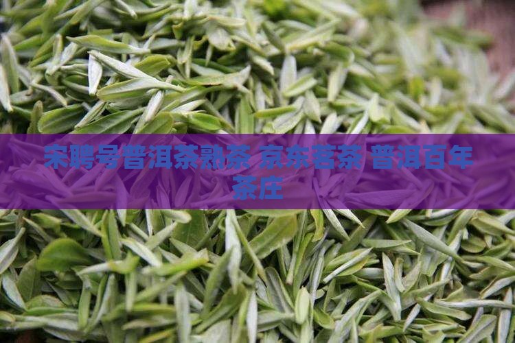 宋聘号普洱茶熟茶