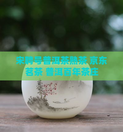 宋聘号普洱茶熟茶