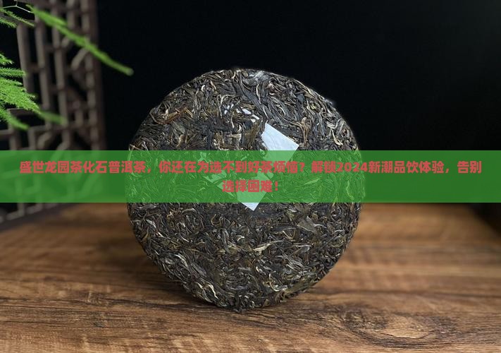 盛世龙园茶化石普洱茶