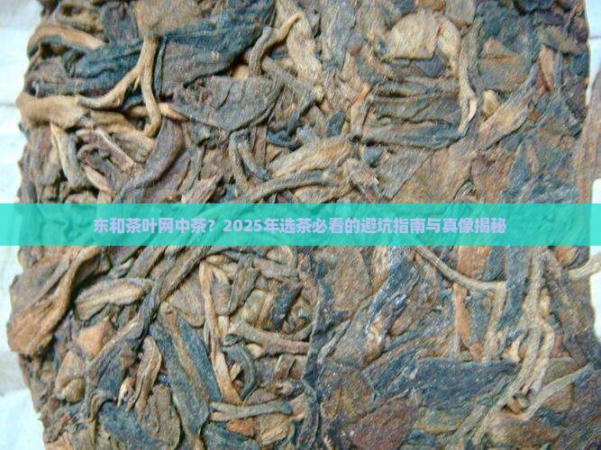 东和茶叶网中茶