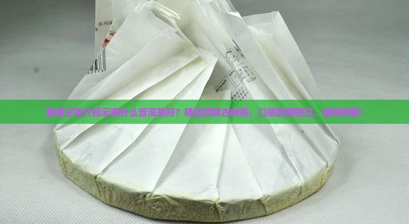 糯香沱茶介绍云南什么普洱茶好