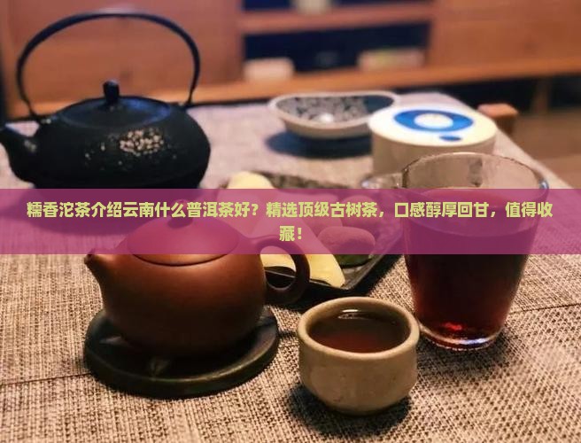 糯香沱茶介绍云南什么普洱茶好