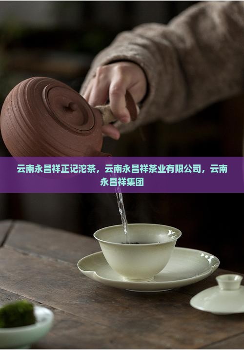 云南永昌祥正记沱茶
