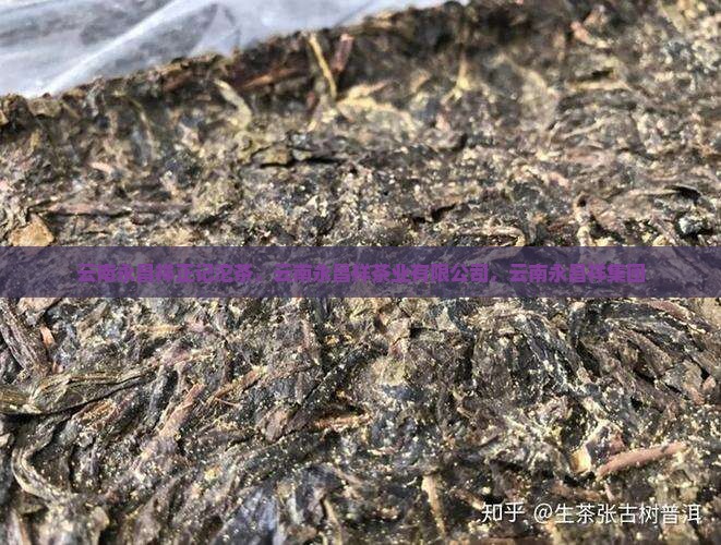 云南永昌祥正记沱茶