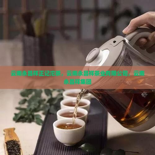 云南永昌祥正记沱茶