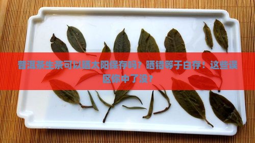 普洱茶生茶可以晒太阳保存吗