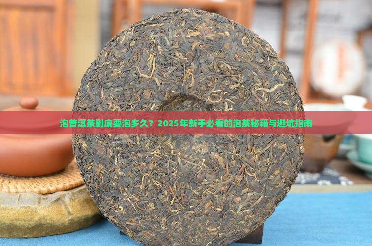 泡普洱茶时间表