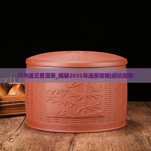 只为遇见普洱茶