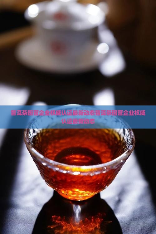 普洱茶国营企业