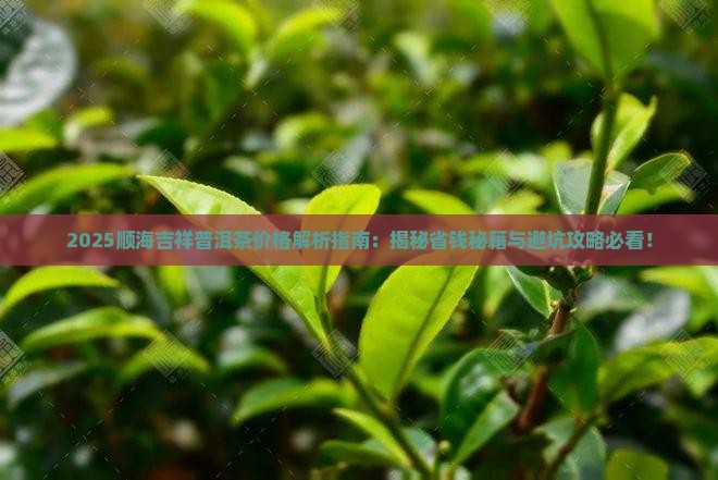 顺海吉祥普洱茶价格