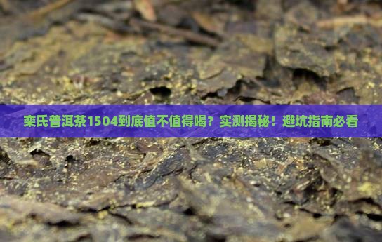栾氏普洱茶1504