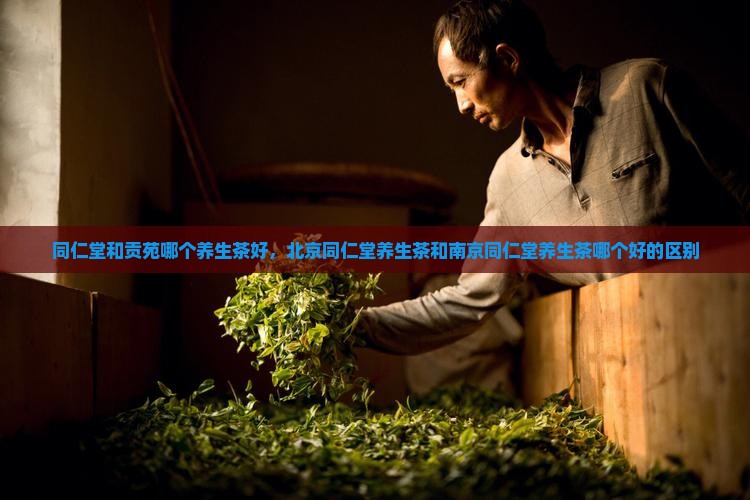 同仁堂和贡苑哪个养生茶好