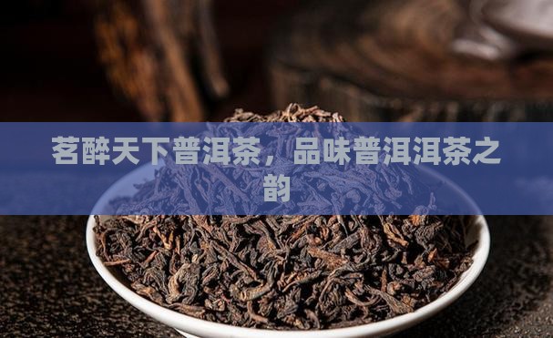 茗醉天下普洱茶