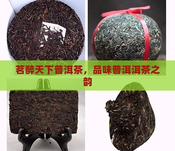 茗醉天下普洱茶