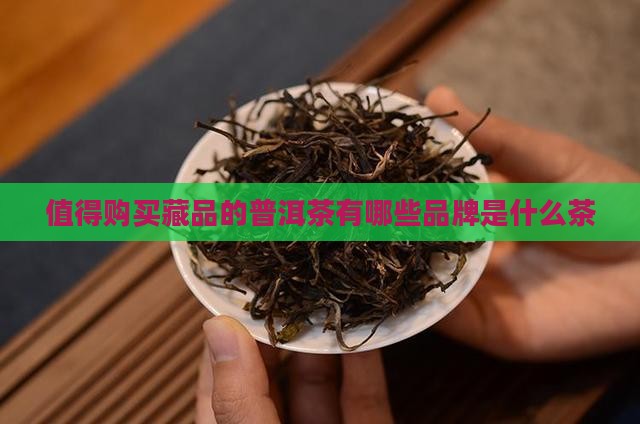 值得购买藏品的普洱茶