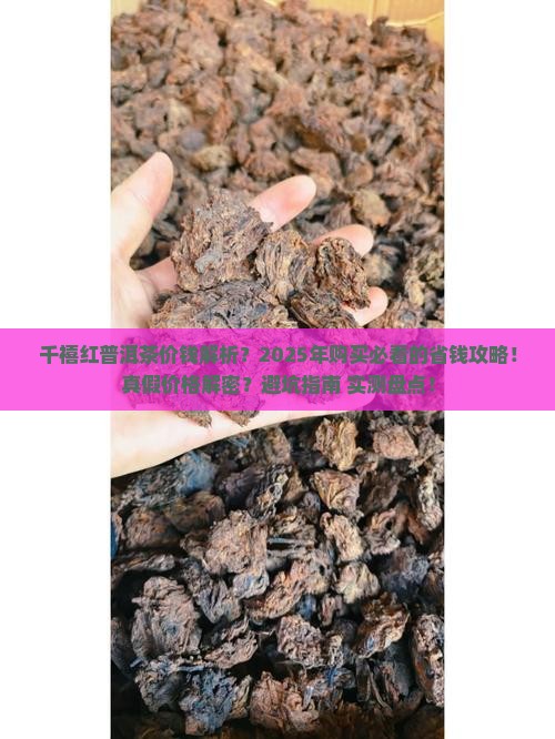 千禧红普洱茶价钱