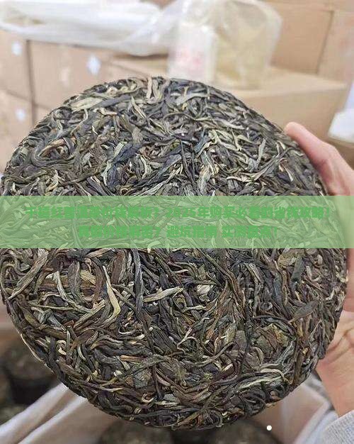 千禧红普洱茶价钱